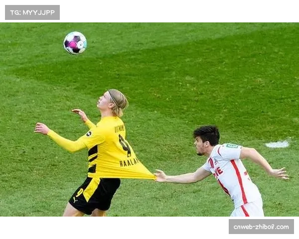 深度报道:数字化球探系统如何重塑德甲中下游球队的转会策略 深度报道:数字化球探系统如何重塑德甲中下游球队的转会策略