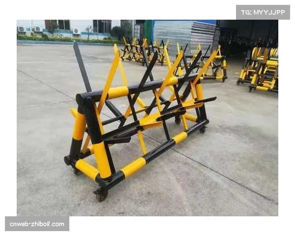 欧足联实施新安全准则，站席需安装防冲撞金属护栏